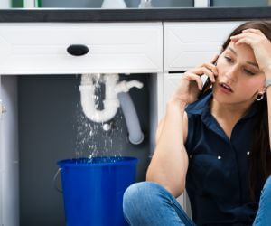 About Plumbers Pros Tresckow, PA